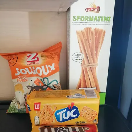 Tiny House Im Gruenen