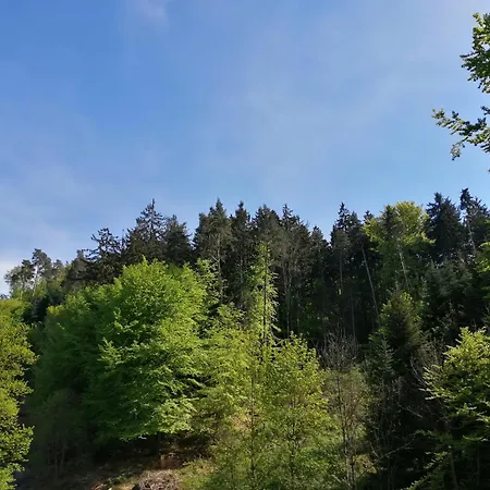Holiday home Tiny House Im Gruenen *