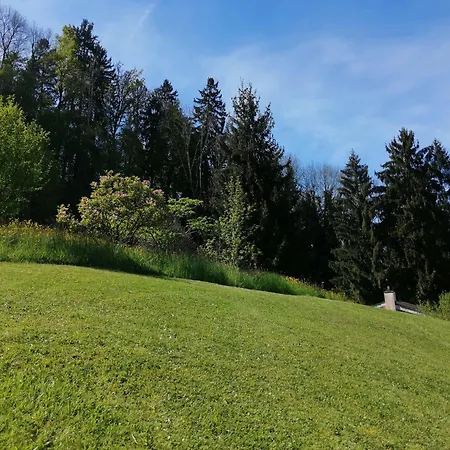 Tiny House Im Gruenen Holiday home